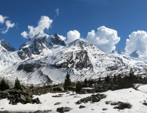 Piz Roseg (Schneekuppe), 3921 m